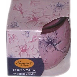 Sveća teglica Magnolia (12)